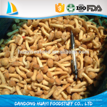 frozen nameko mushrooms healthy and high quality